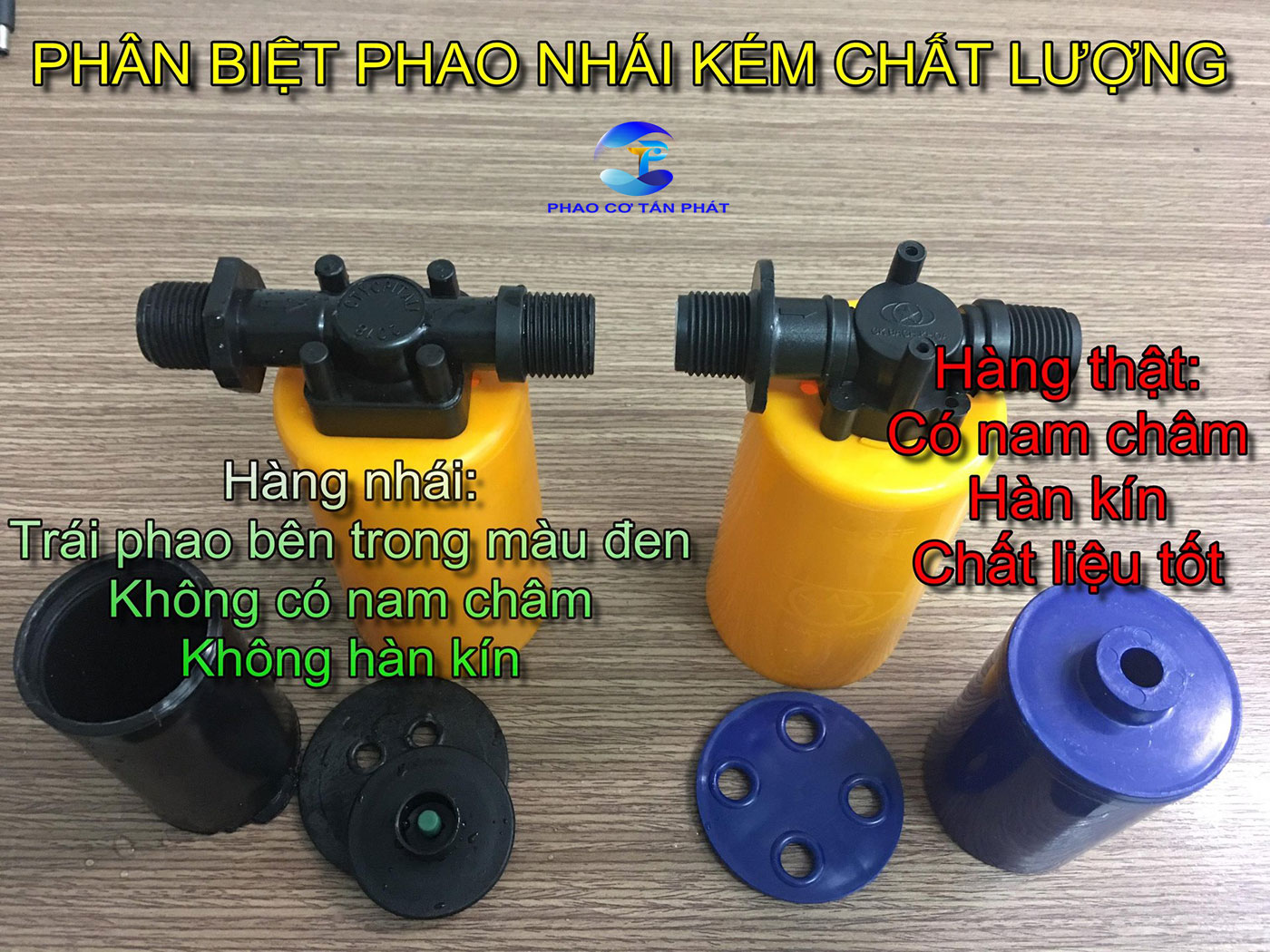 Tổng Thể Phao Thật và Phao Giả